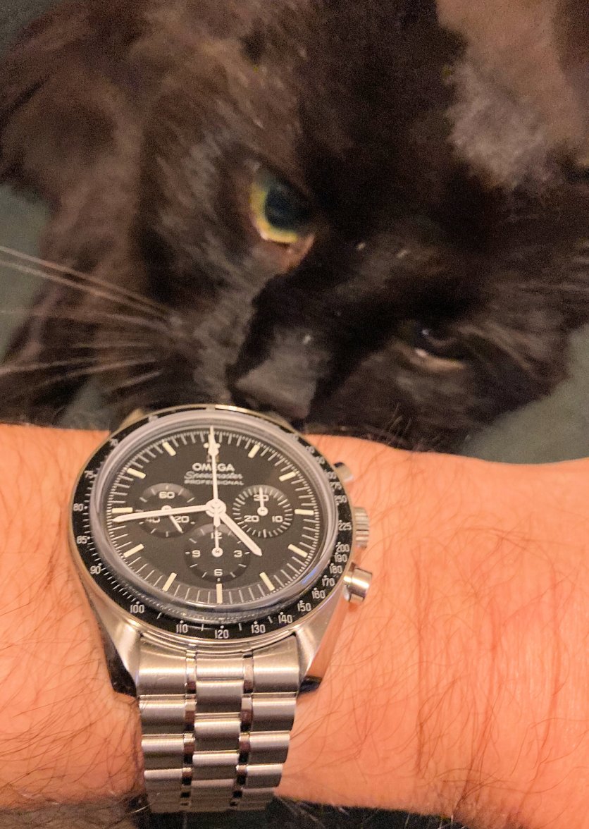 Speedy Tuesday s - Copy.jpg