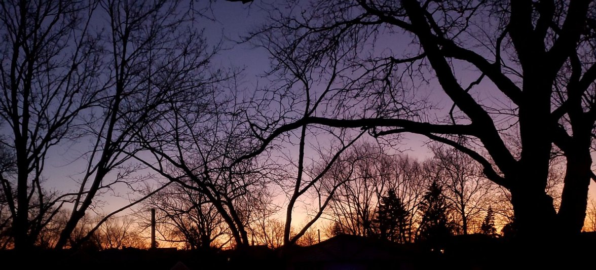 VR ws 2 sunrise 20211222_064828.jpg