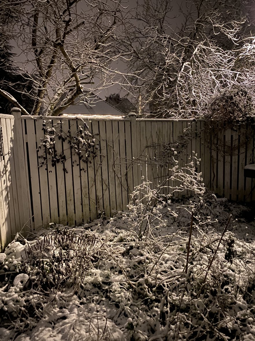 09580096-0405-47B0-B2B9-145CA695606B.jpeg