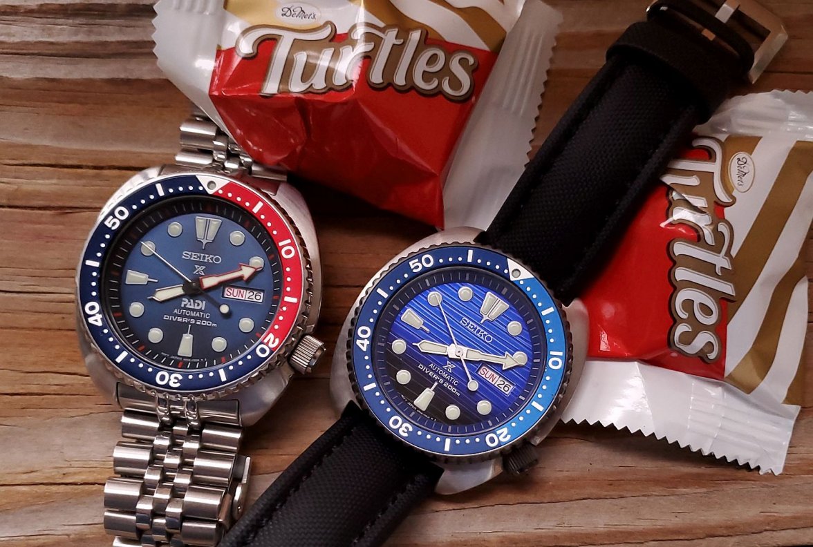 6309 ws 2 turtles 20211226_081100.jpg