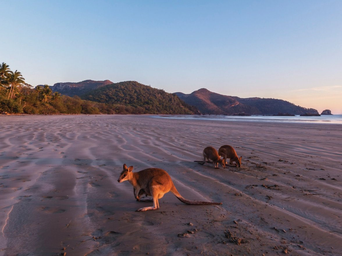 kangas at beach.jpg