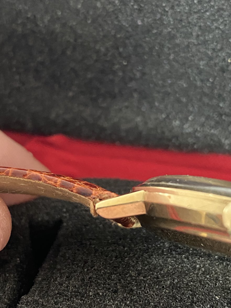 A0DFF8A5-822C-4DBC-AA5B-752BA936DC49.jpeg A0DFF8A5-822C-4DBC-AA5B-752BA936DC49.jpeg