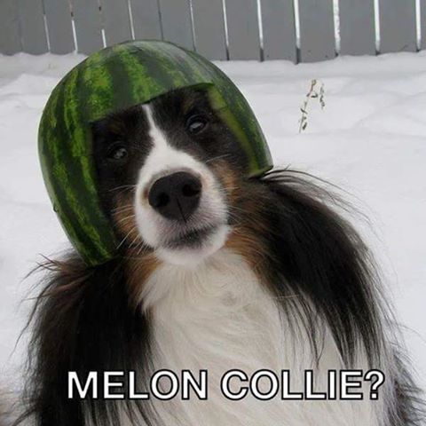 Meloncholy.jpg