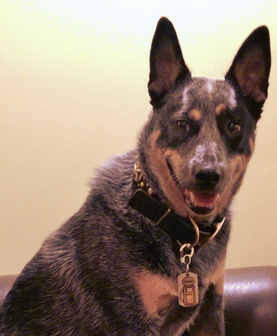 WP_20170627_012 (2).jpg