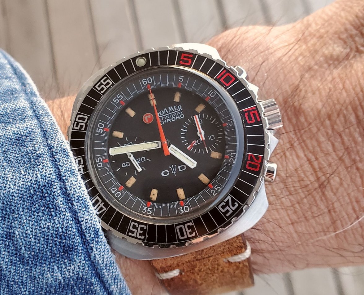 Roamer ws 1 20220119_164635.jpg