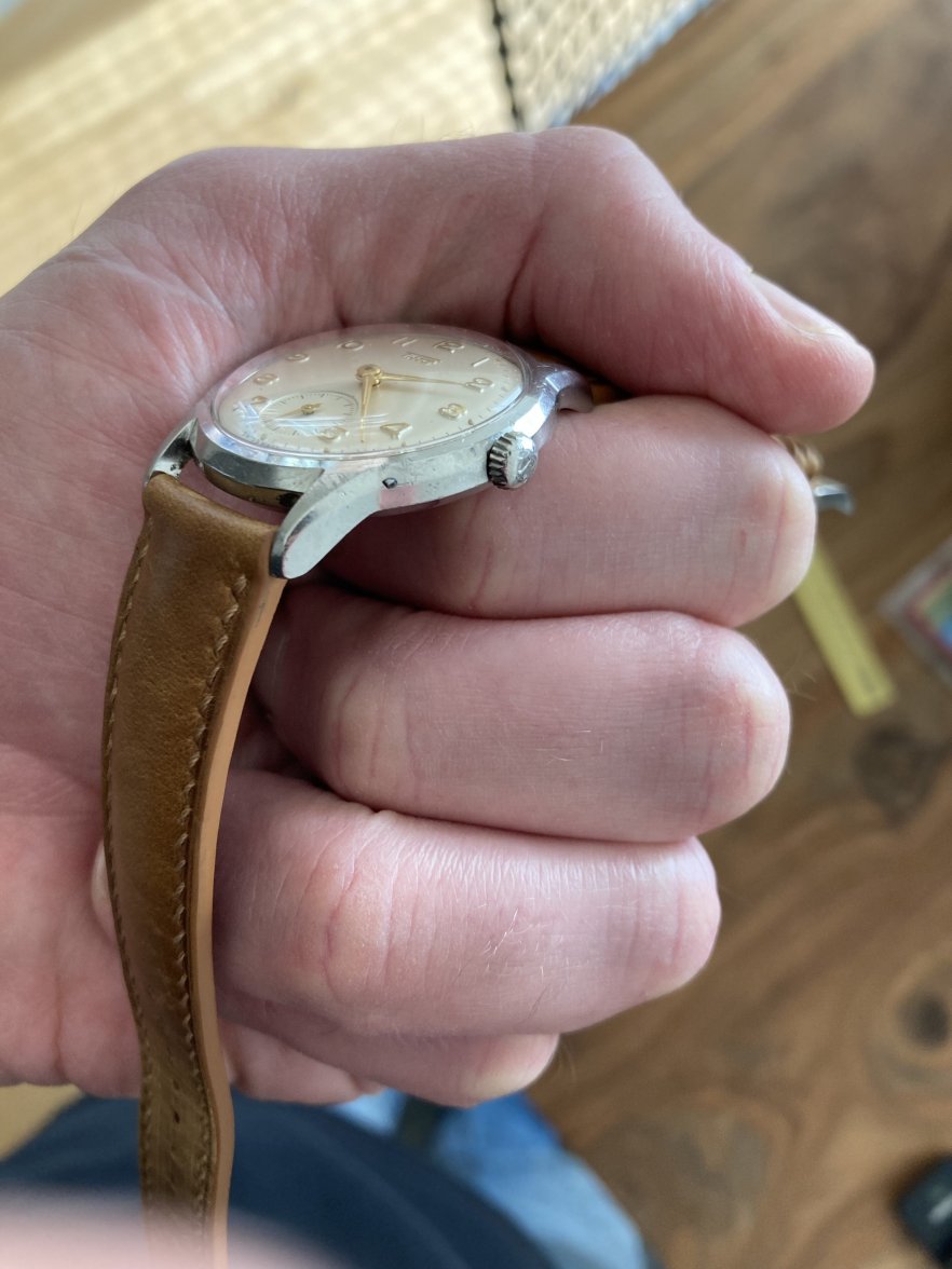 IMG_2498x.jpg IMG_2498x.jpg