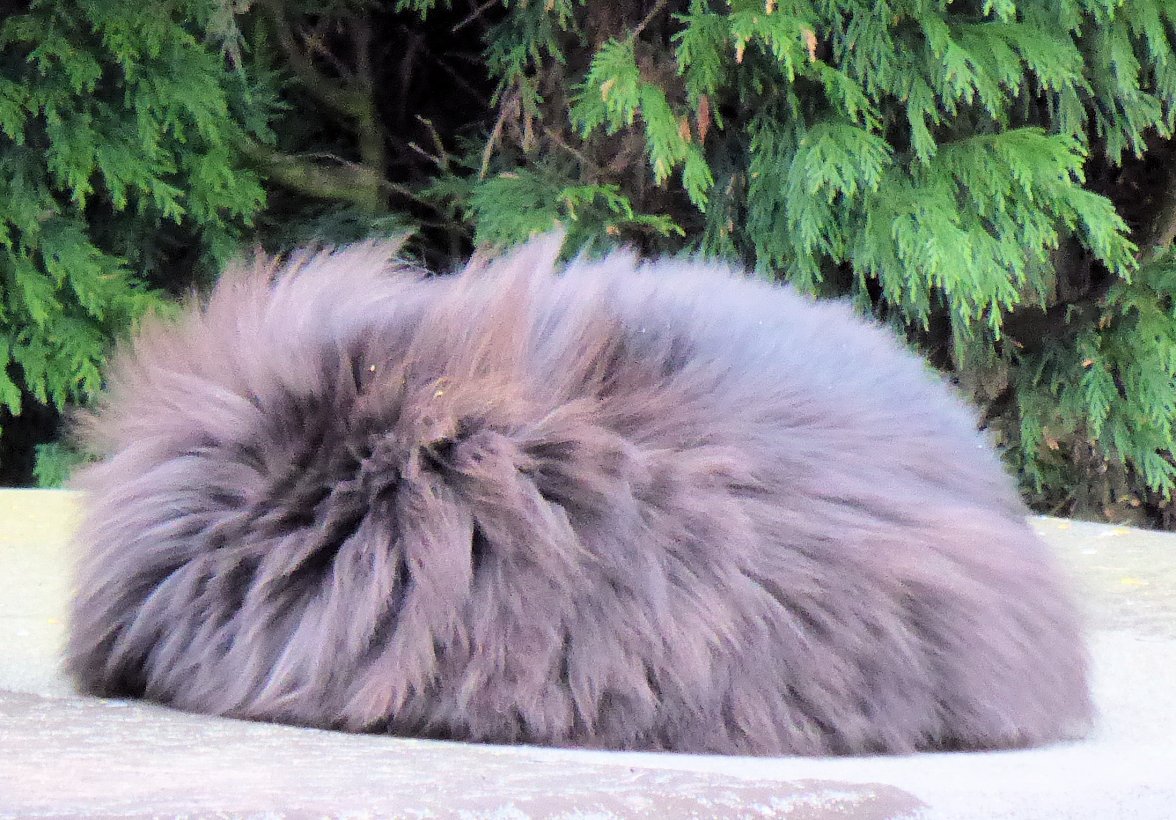 Youg Girl Hat - Copy.jpg