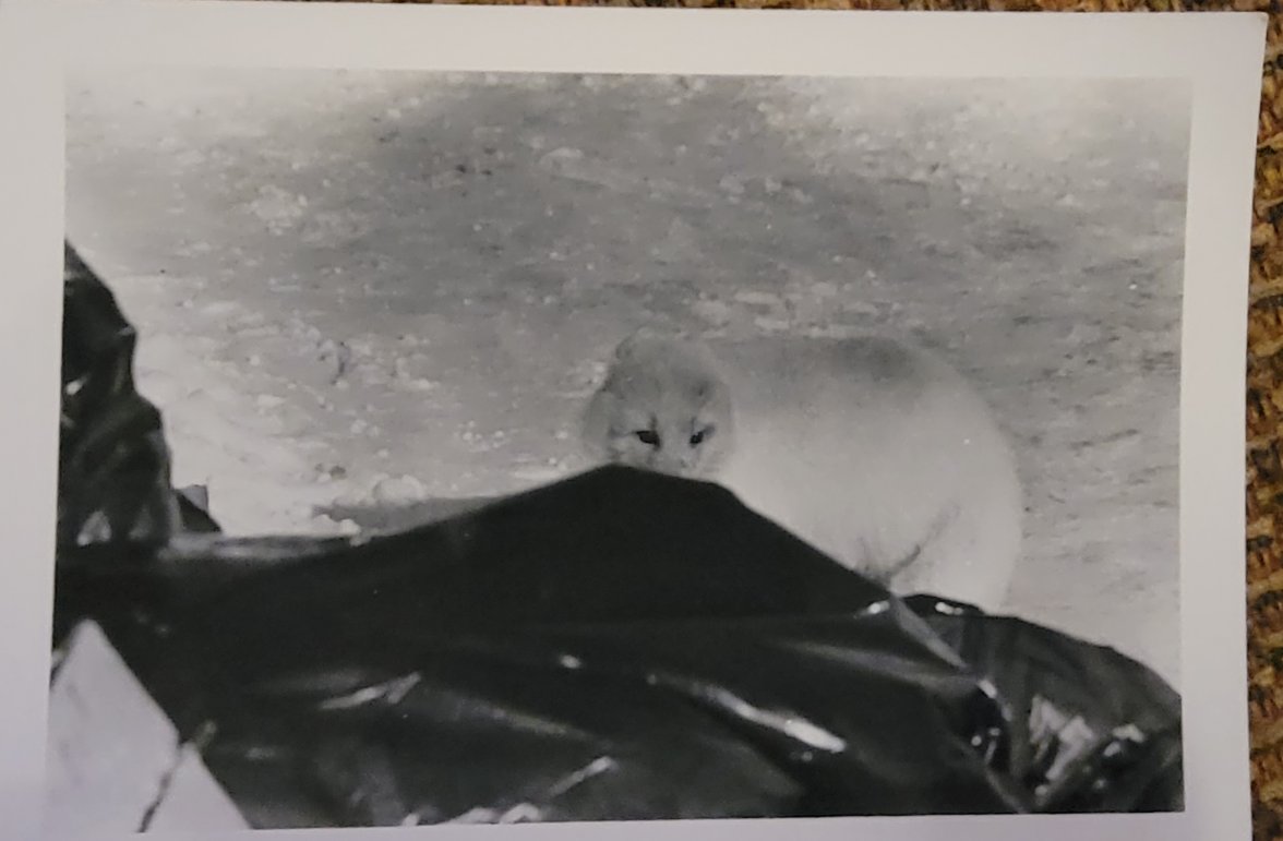 20220126_200918.jpg 20220126_200918.jpg