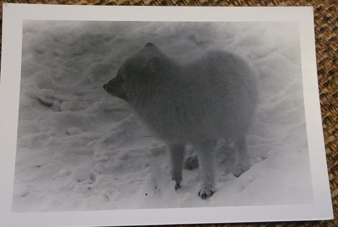 20220126_200913.jpg 20220126_200913.jpg