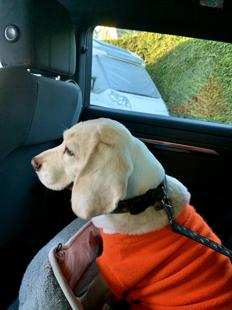 C1AA246E-480E-406F-A3F4-C8FEE3674274_1_201_a.jpeg C1AA246E-480E-406F-A3F4-C8FEE3674274_1_201_a.jpeg