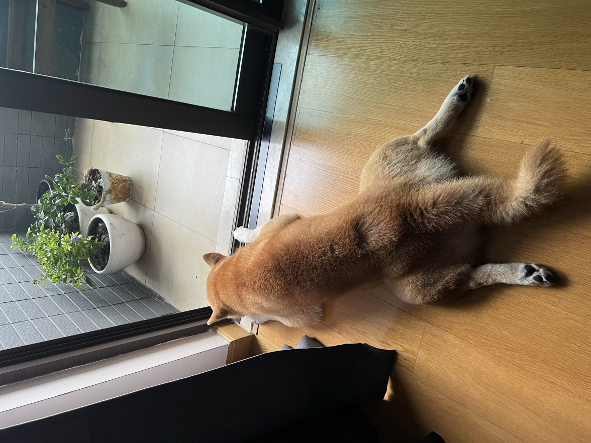 tempImage3iGA0c.png tempImage3iGA0c.png