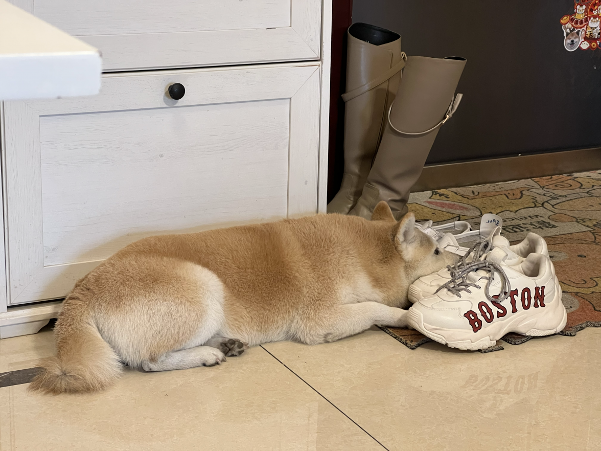 tempImagejPirB4.png tempImagejPirB4.png