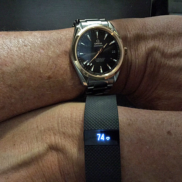 IMG_0260_fitbit.jpg