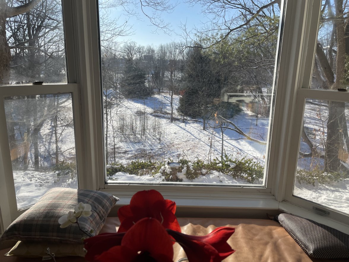 1DA9A9A3-3206-4AF5-A97C-5FBAEA245F3D.jpeg 1DA9A9A3-3206-4AF5-A97C-5FBAEA245F3D.jpeg