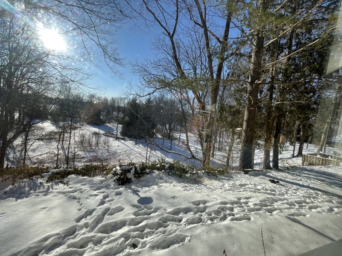 3FBF045E-792C-4CD3-B7AA-91DB7A7C9432.jpeg 3FBF045E-792C-4CD3-B7AA-91DB7A7C9432.jpeg