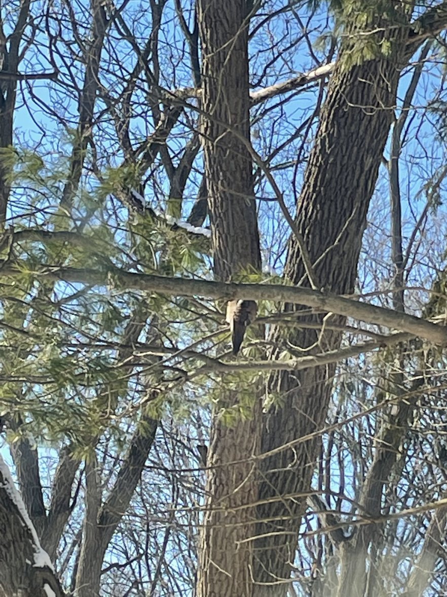 9F30BFFD-124D-454A-B1BA-27F32B20CBEC.jpeg 9F30BFFD-124D-454A-B1BA-27F32B20CBEC.jpeg