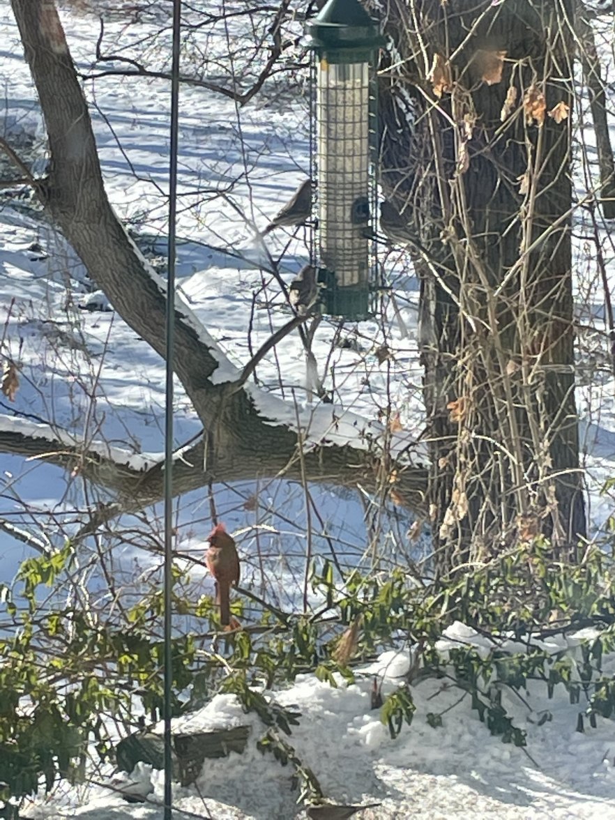 006CB460-9E23-4D54-A503-E692A9E2E0DB.jpeg 006CB460-9E23-4D54-A503-E692A9E2E0DB.jpeg