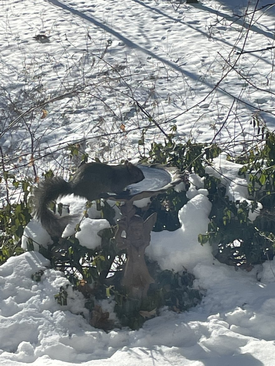 27DE74DA-36E1-4C11-8349-D4BB417D8455.jpeg 27DE74DA-36E1-4C11-8349-D4BB417D8455.jpeg