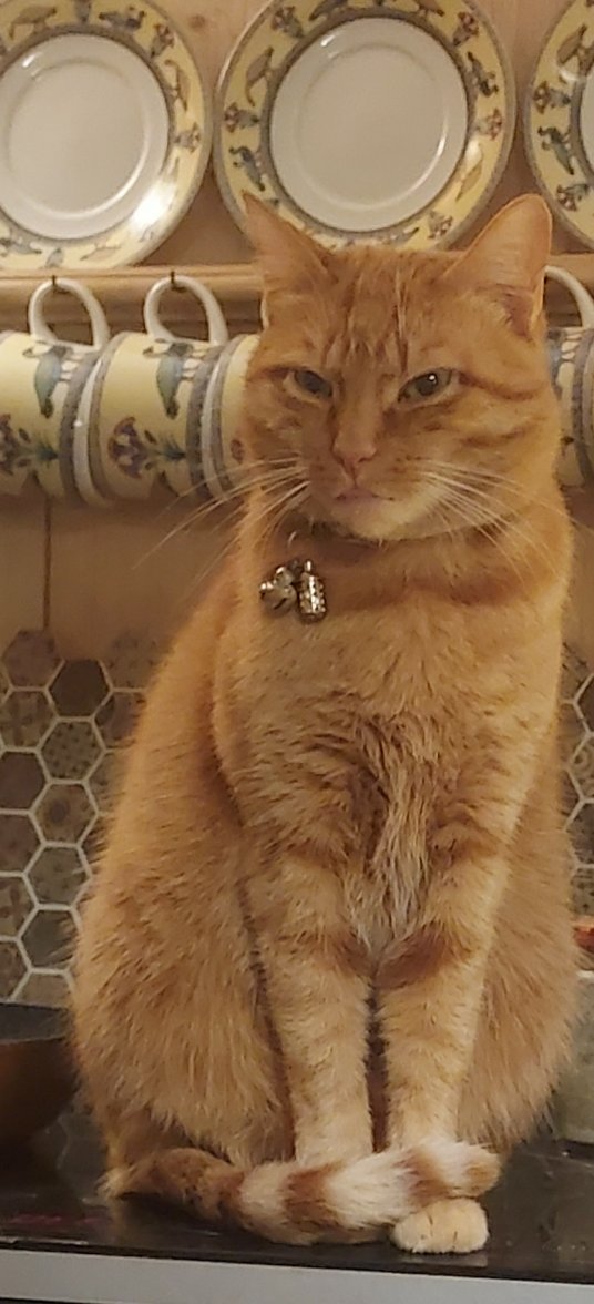 20220129_185437.jpg 20220129_185437.jpg