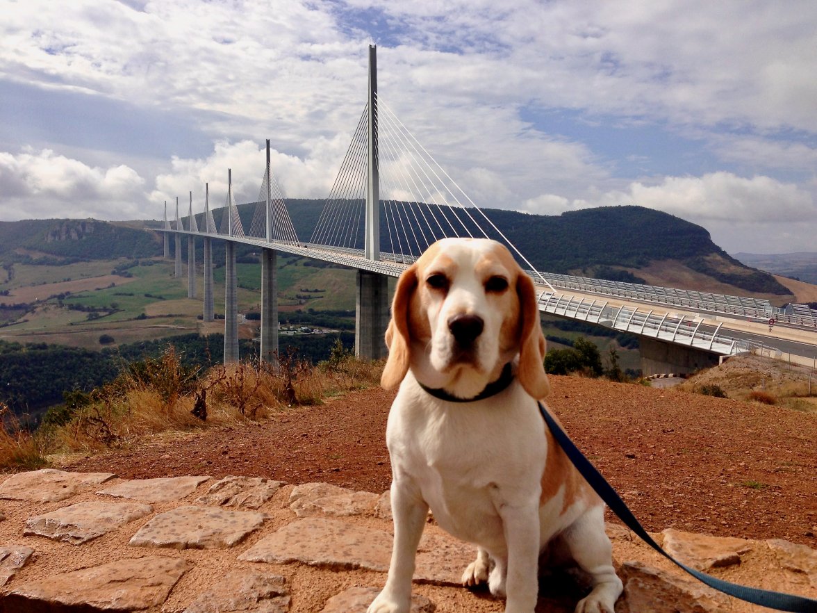 IMG_4515.jpeg IMG_4515.jpeg