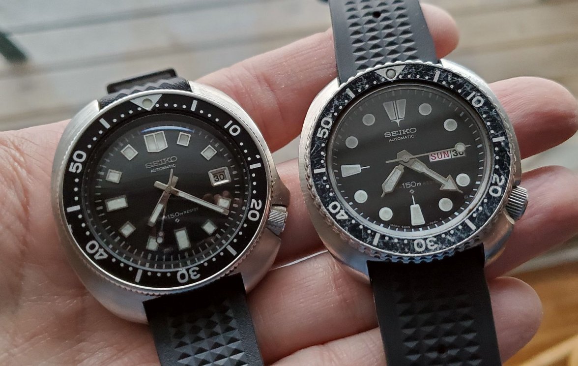 Willard ws 4 with Turtle 20220130_072139.jpg