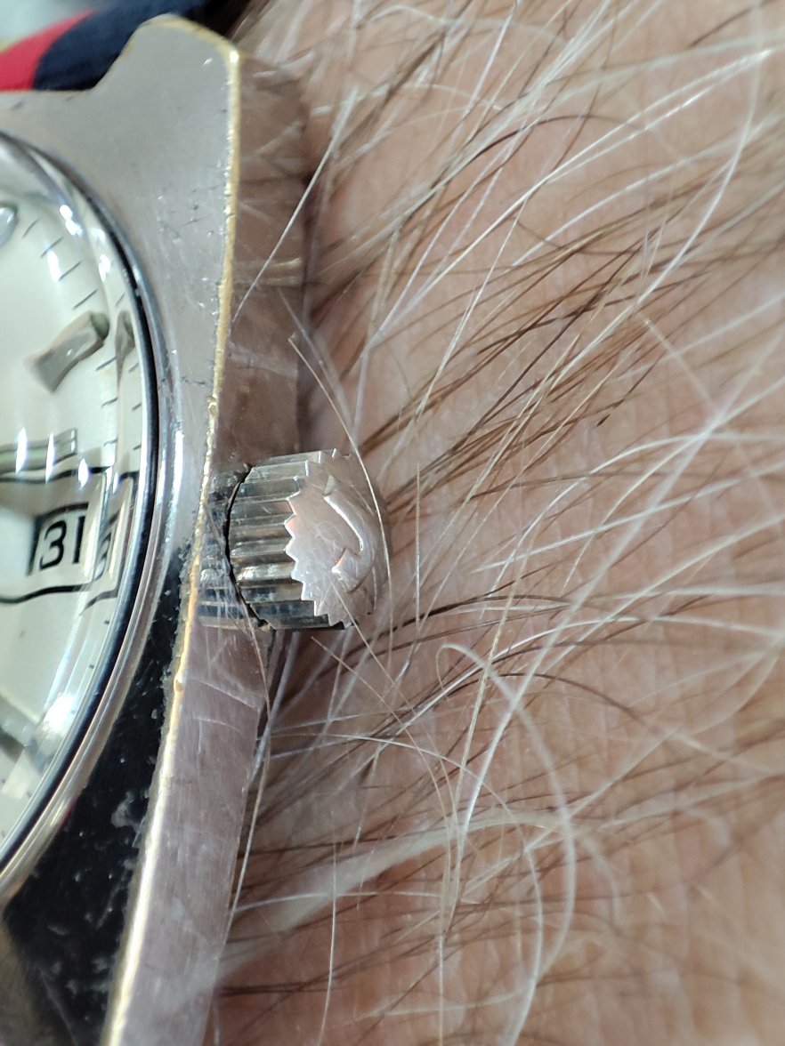 IMG_20220131_171301.jpg IMG_20220131_171301.jpg