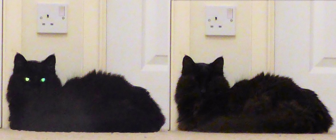 Cat Charger - Copy.jpg