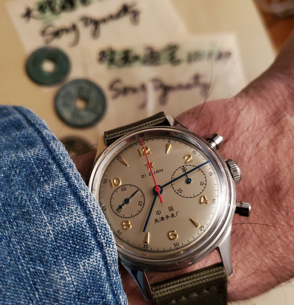 Seagull ws 1 20220204_191302.jpg