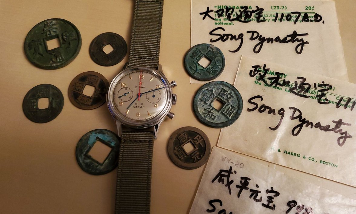 Seagull ws 2 20220204_191131.jpg