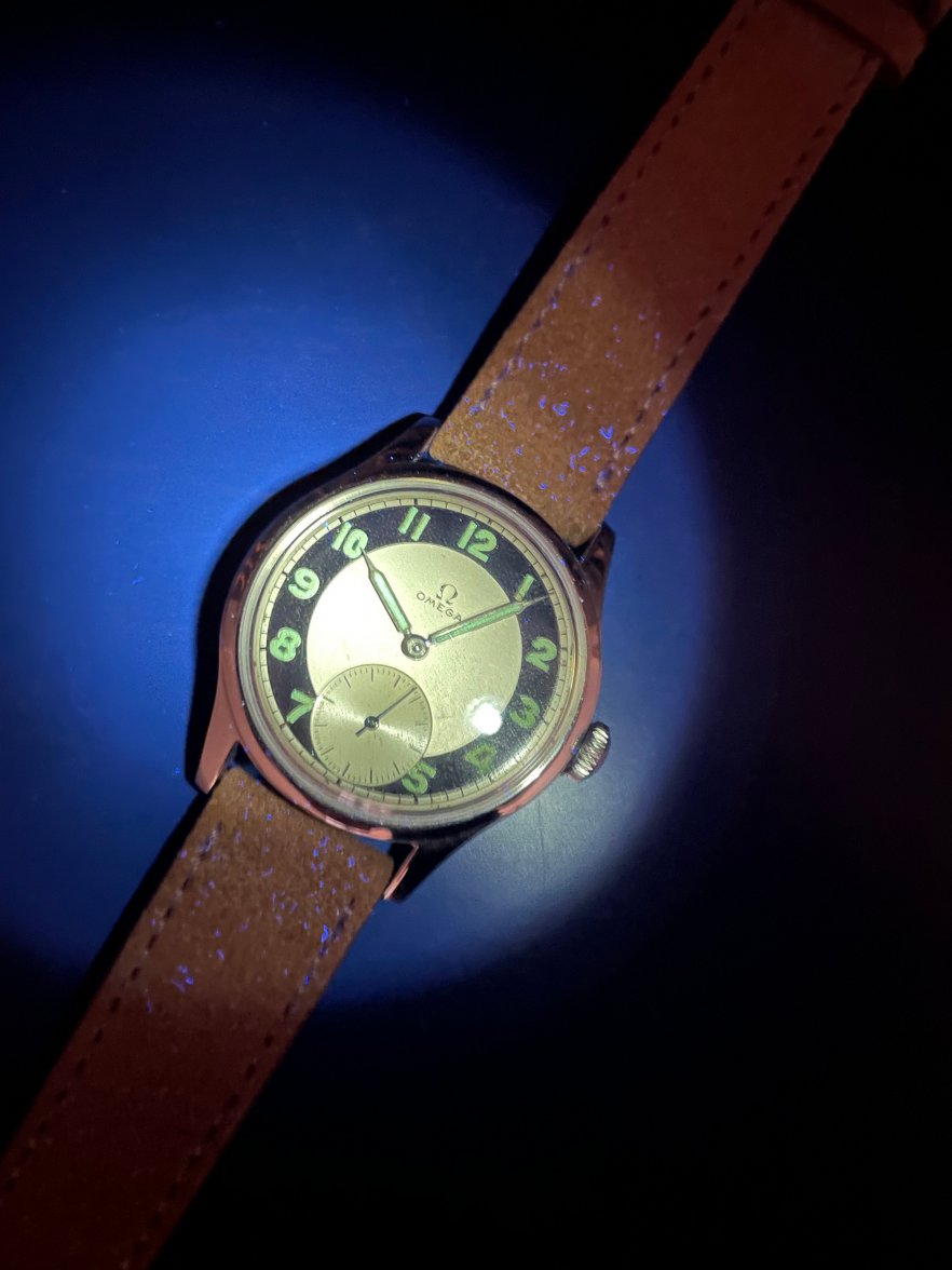 Suveran 8.jpg Suveran 8.jpg