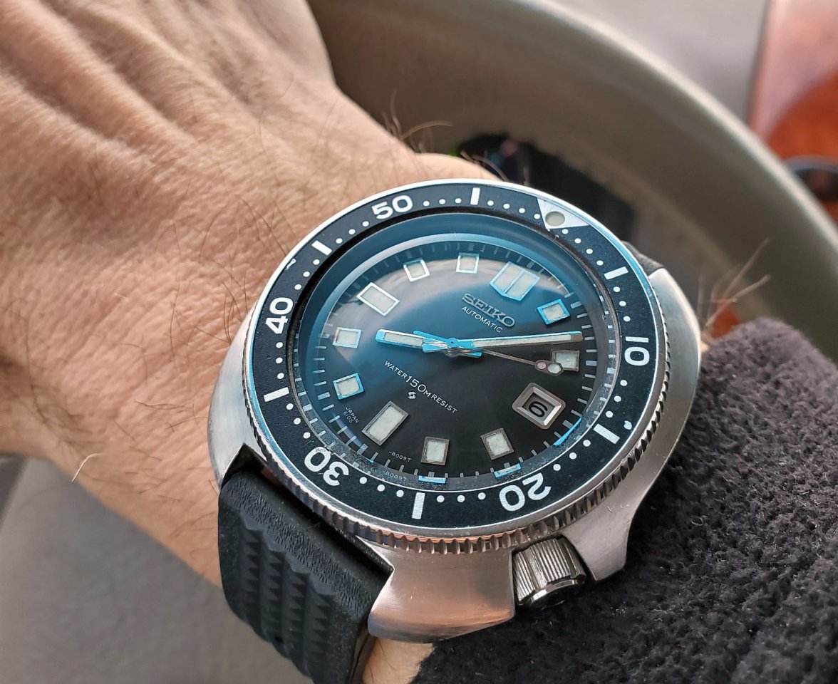 Willard ws 2 20220206_080846.jpg