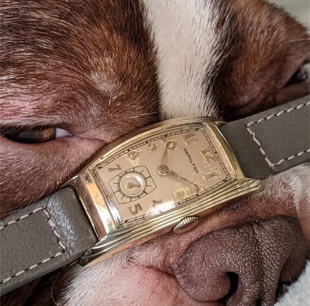 SOLD 1930's Hamilton Linwood Curvex Style Omega Forums