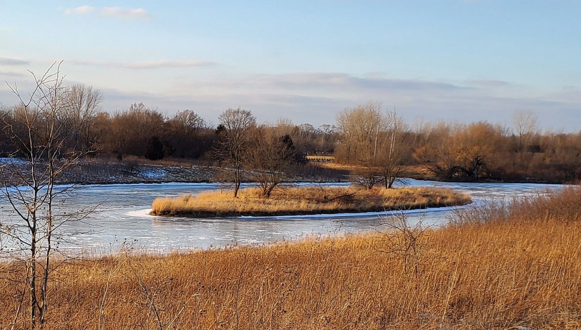 Willard ws 3 20220214_162906.jpg