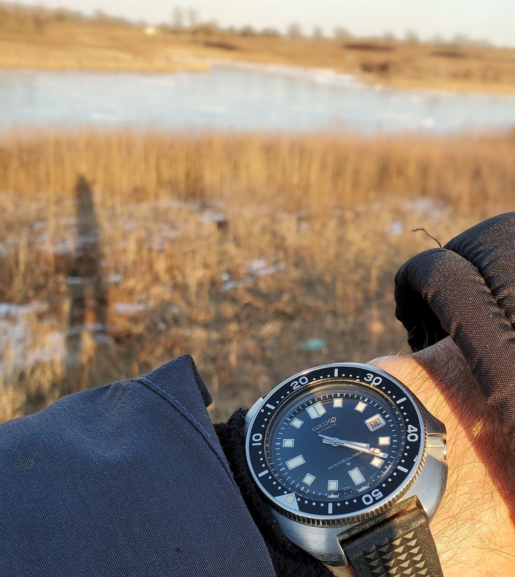 Willard ws 4 20220214_162318.jpg