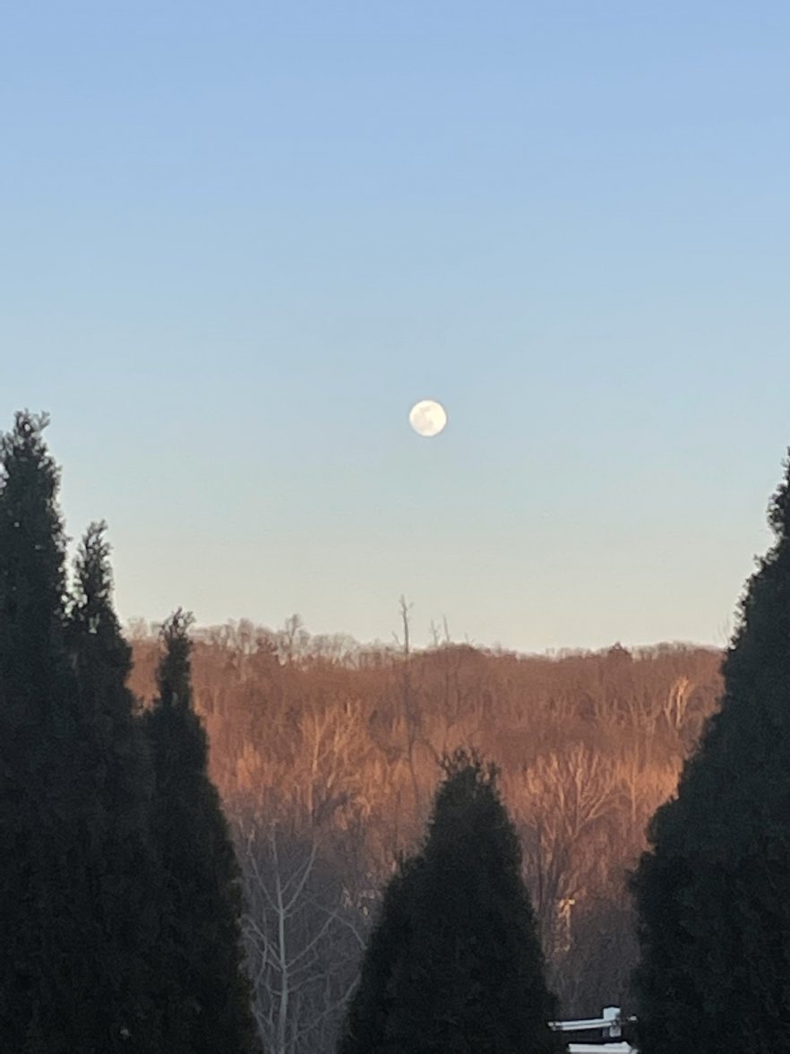 3873CB0D-E025-46D1-A857-3019E19E8591.jpeg 3873CB0D-E025-46D1-A857-3019E19E8591.jpeg