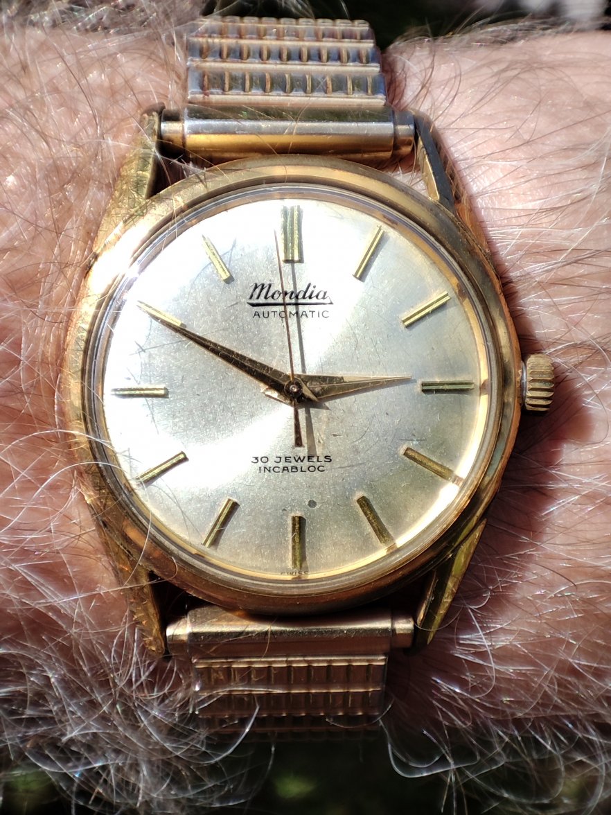 IMG_20220216_144857.jpg IMG_20220216_144857.jpg