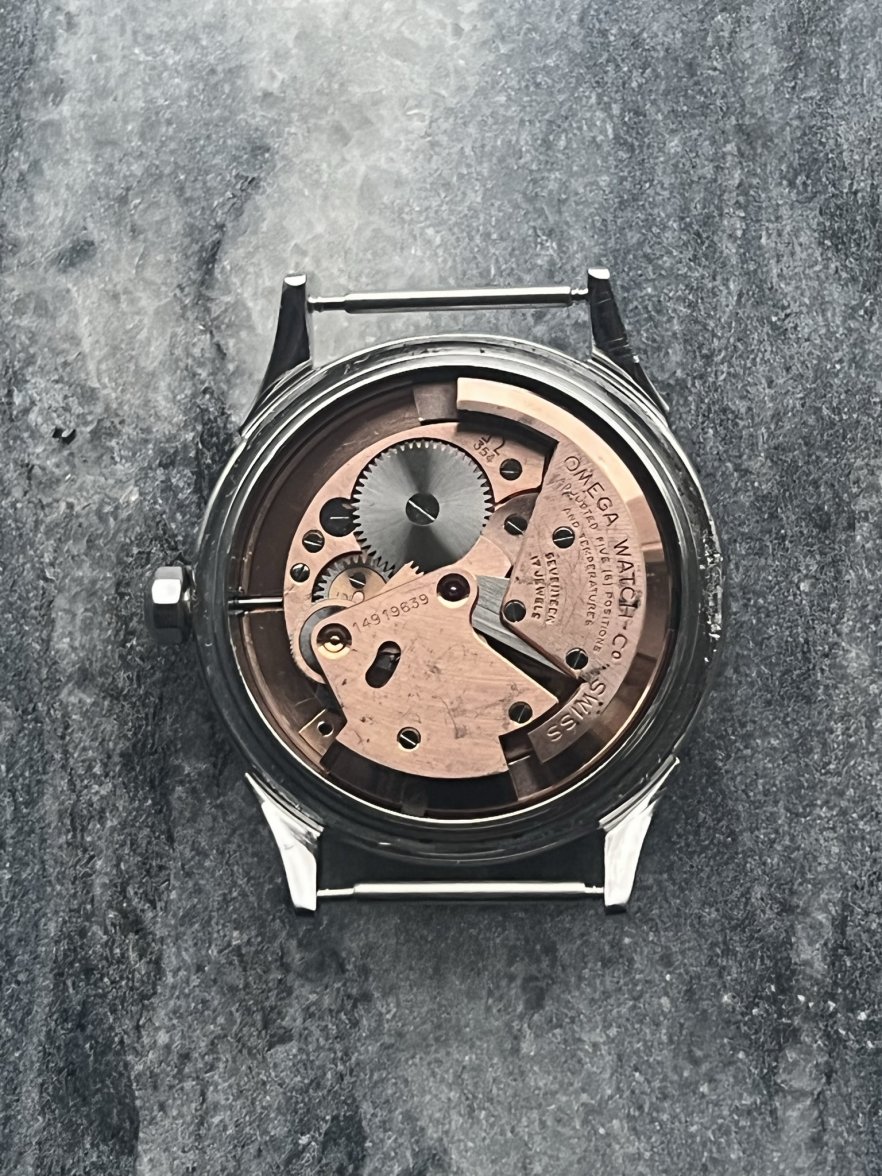 IMG_2531.JPEG IMG_2531.JPEG