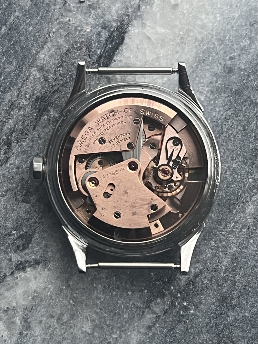 IMG_2532.JPEG IMG_2532.JPEG