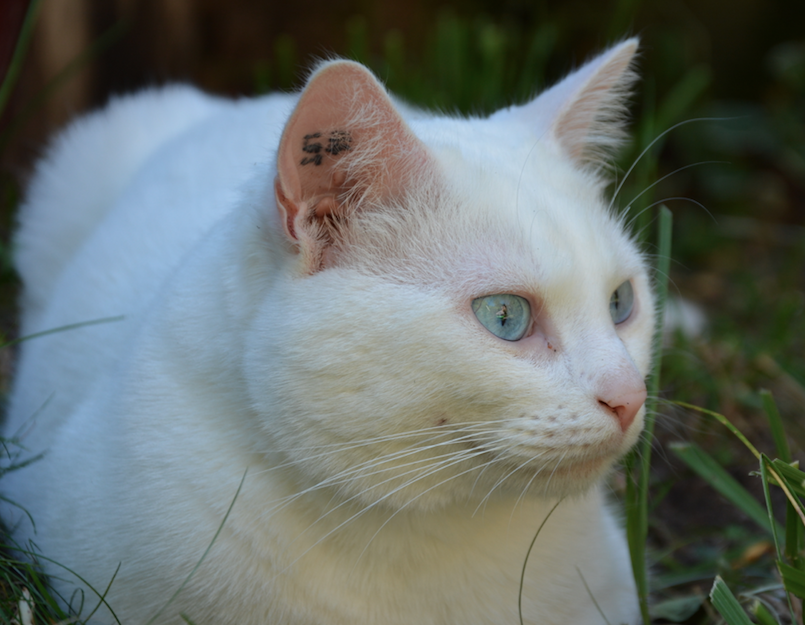 Capture d’écran 2022-02-10 à 20.05.17.png