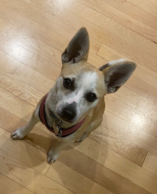 IMG_3257.jpeg IMG_3257.jpeg