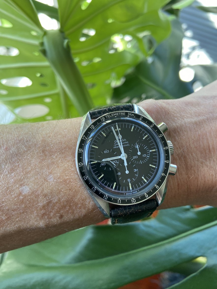 wtb-speedmaster-service-bezels-pulsations-telemeter-miles