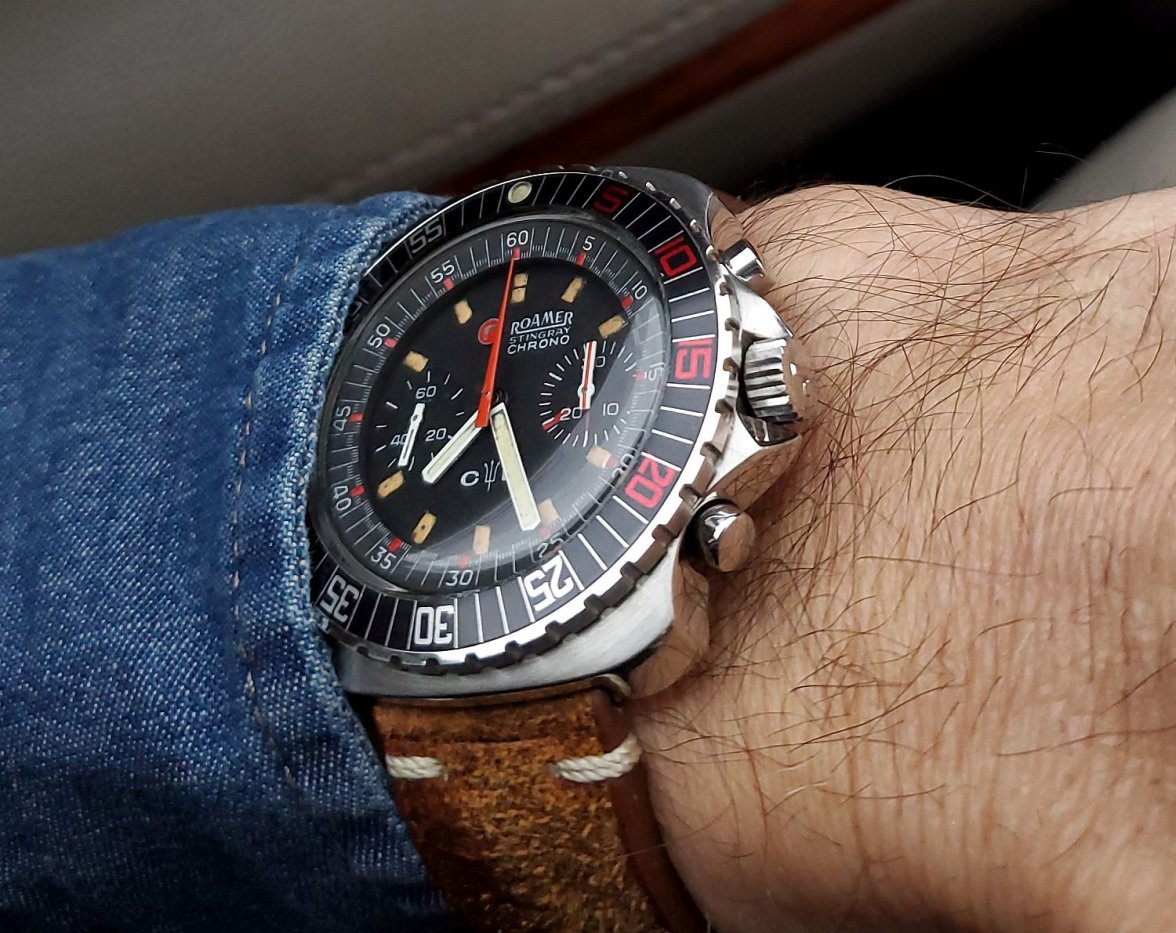 Roamer ws 1 20220224_072538.jpg