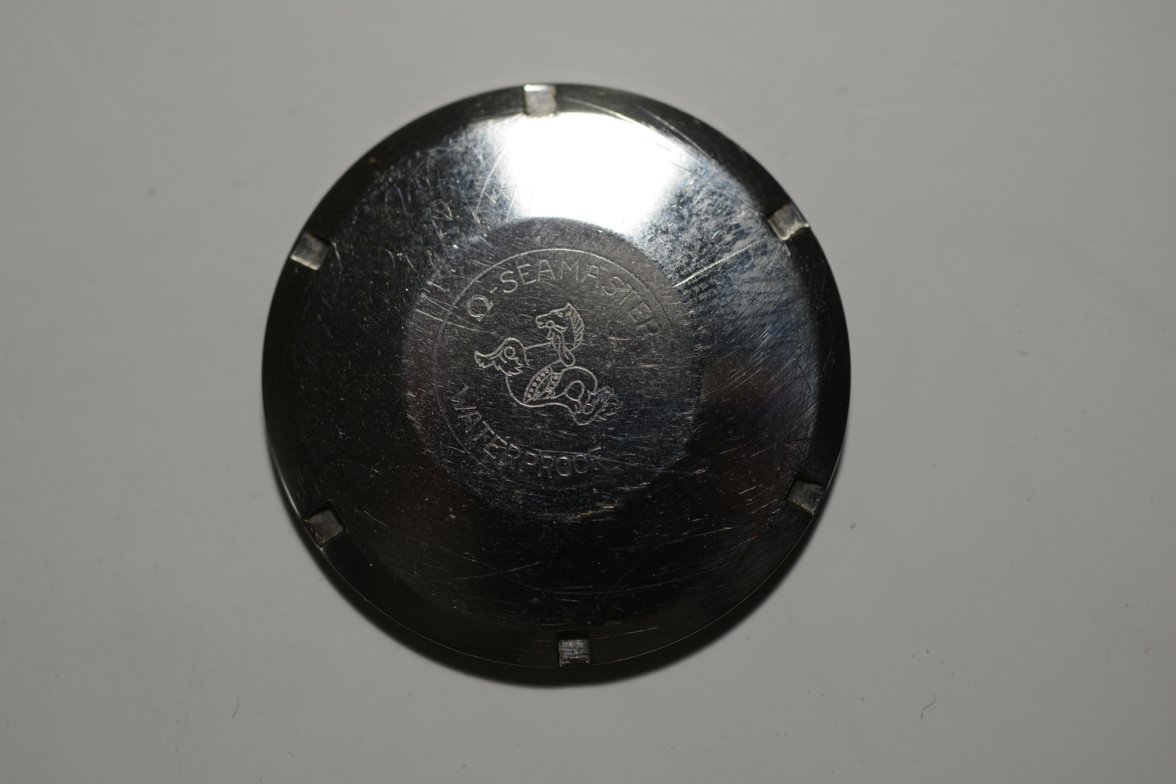 DSC_6732.jpeg