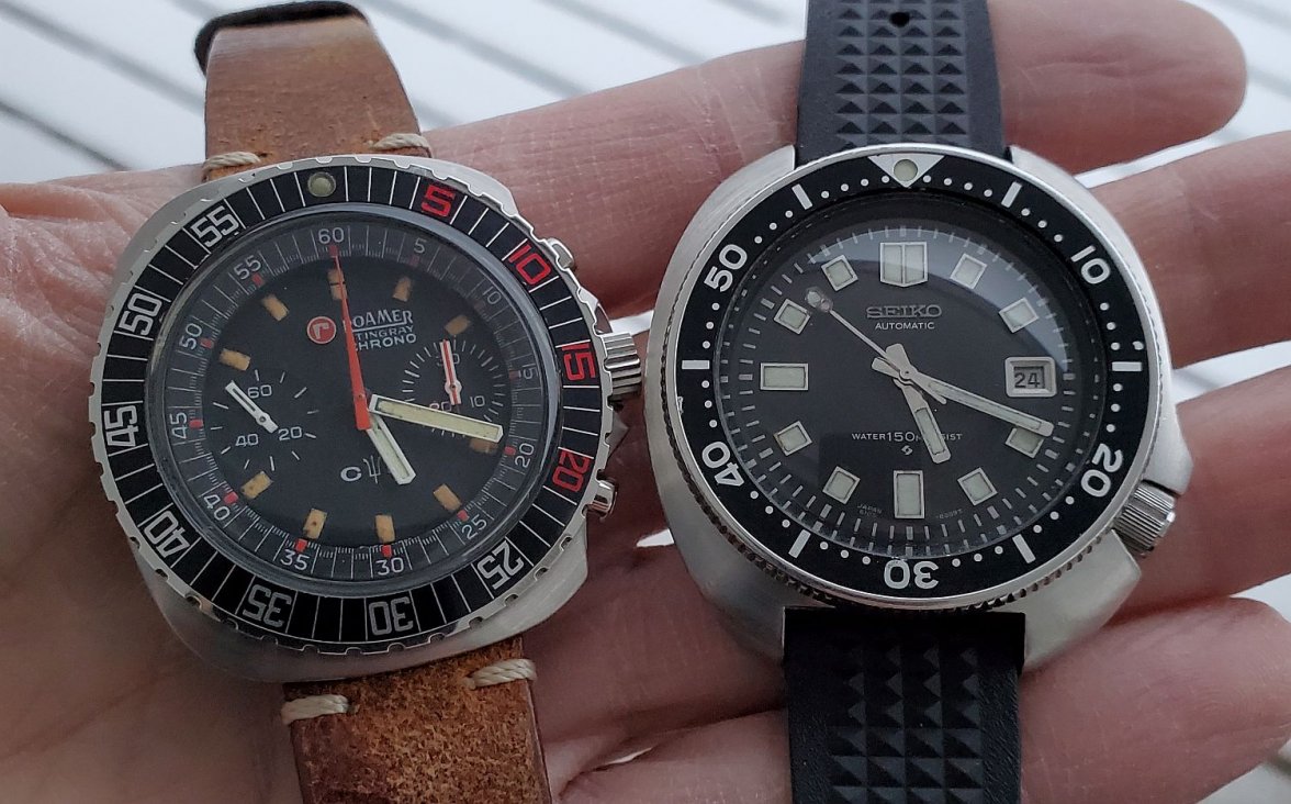 Willard ws 4 with Roamer 20220224_171917.jpg