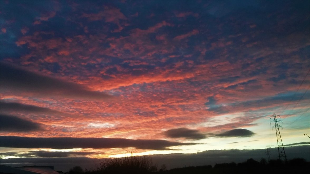 20211118_162420 (2).jpg