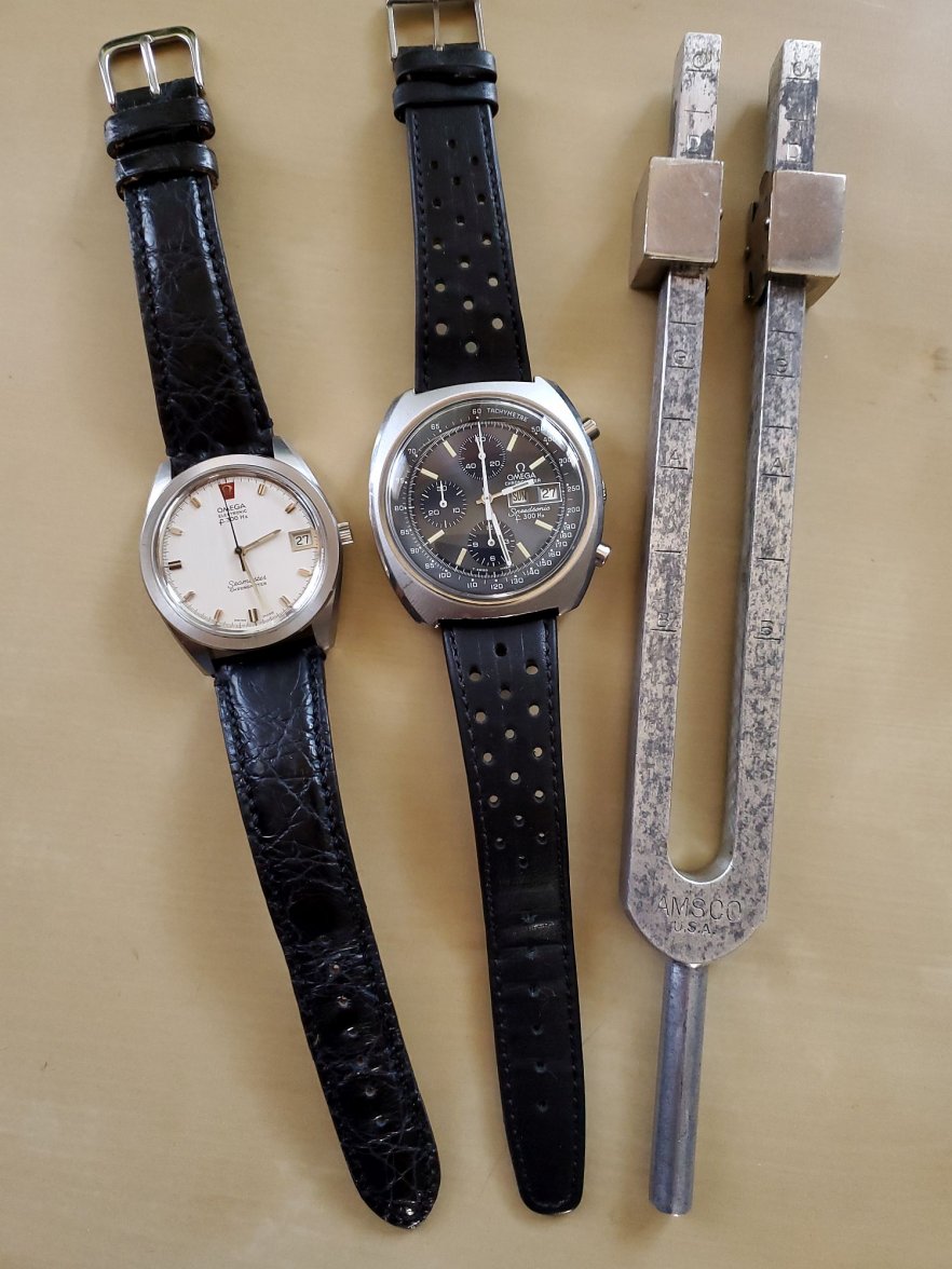 Tuning fork ws 1 20220227_142750.jpg