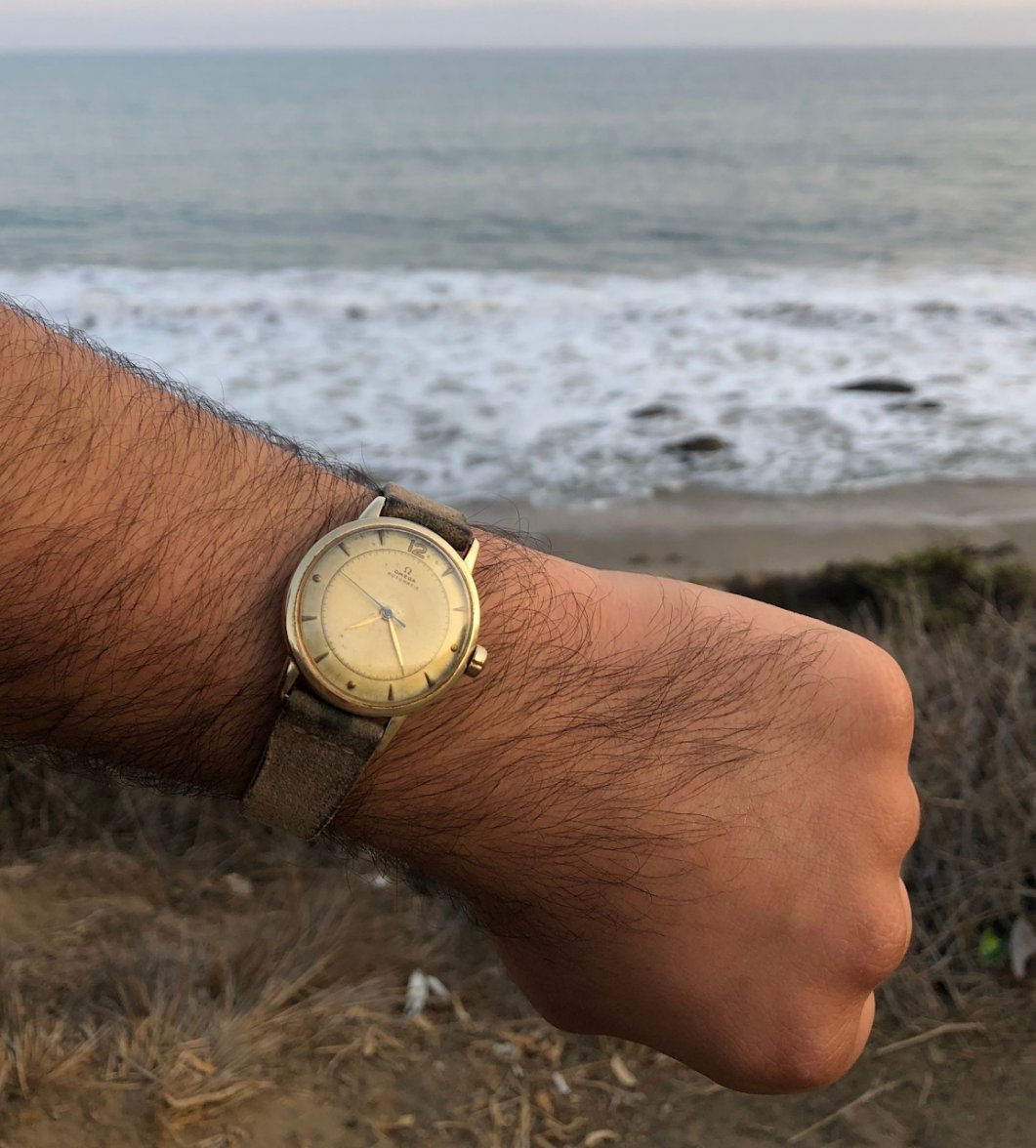 omega_7002876.jpg omega_7002876.jpg