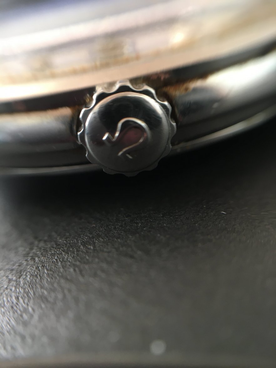 IMG_8173.JPG IMG_8173.JPG