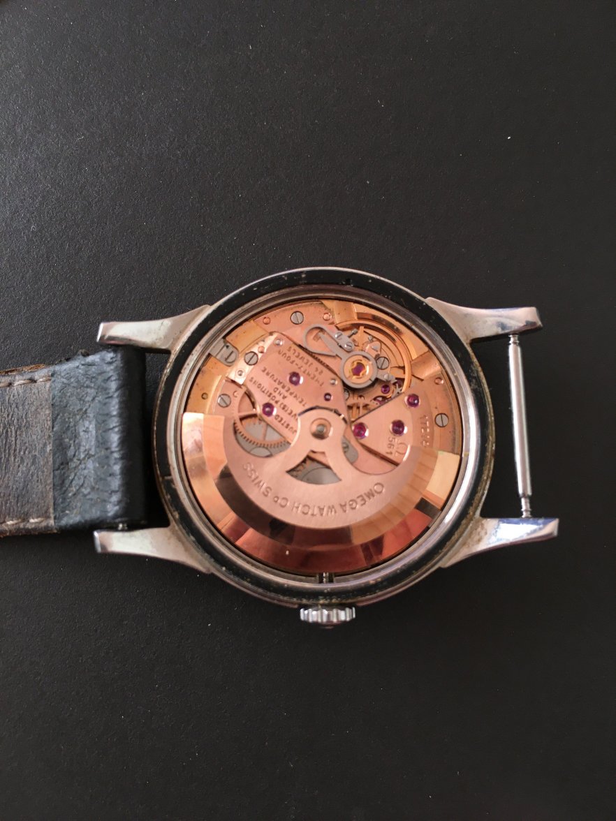 IMG_8181.JPG IMG_8181.JPG