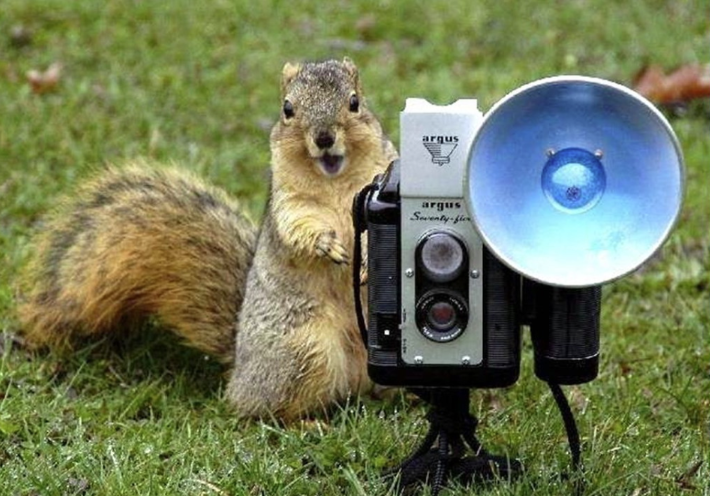 CameraSquirrel.png